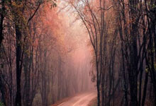 U20亚洲杯：中国队2比1击败卡塔尔队 取得开门红2025-02-13.