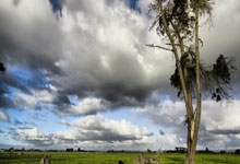 必发体育：0-1到3-2！新援超离谱乌龙助攻+又直红 英超7.3亿豪门险胜升班马.