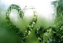 必发体育：NBA／11月中風至今仍未回歸 馬刺教頭波波維奇剩餘賽季確定報銷.