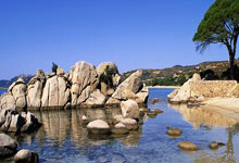 弗拉米尼：足球平臺巨大，球員肩負環保責任！.